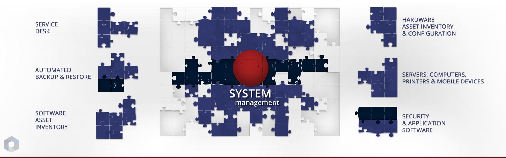 System Management - Consorzio Fabless Sistema Italia